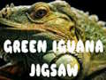 Logħba Green iguana jigsaw onlajn