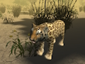 Logħba Simulatur tal-Kaċċa tal-Cheetah Afrikan  onlajn