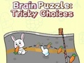 Logħba Brain Puzzle: Għażliet Delikati  onlajn