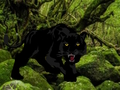 Logħba Ħarab mill-Black Panther Forest  onlajn
