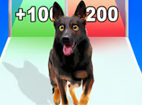 Logħba Kelb Evoluzzjoni Run  onlajn