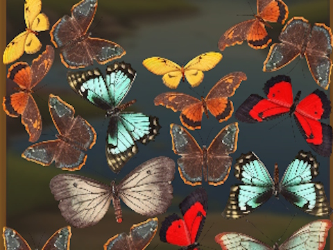Logħba Mergebuterfly: 2048! onlajn