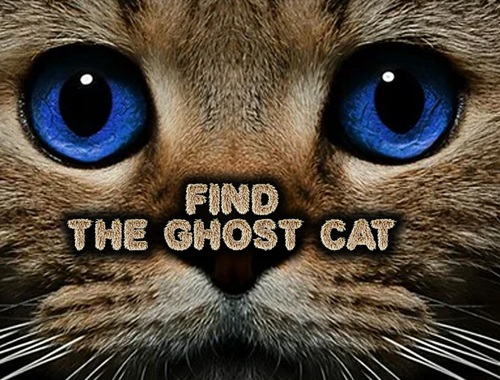 Logħba Sib il-Ghost Cat  onlajn