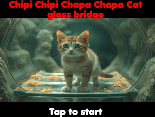 Logħba Chipi Chipi Chapa Chapa Cat Glass Bridge onlajn